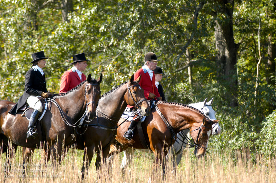 F2005_029: Farmington Hunt, Fox Hunting, 2005