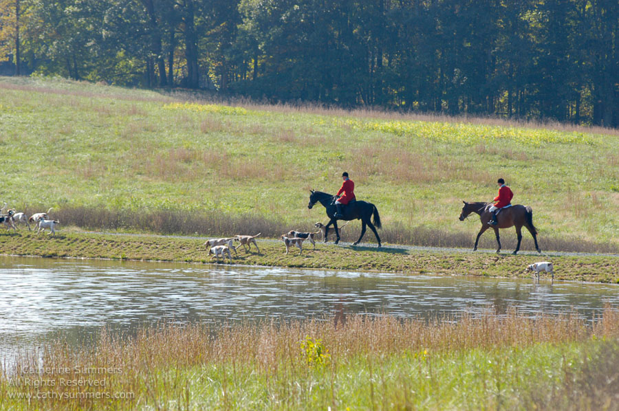 F2005_045: Farmington Hunt, Fox Hunting, 2005