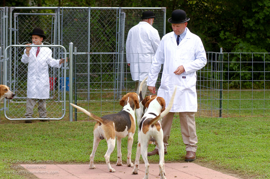 F2005_PS_01: Farmington Hunt, Fox Hunting, 2005