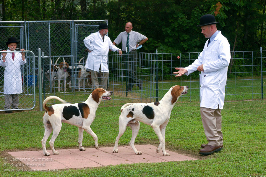 F2005_PS_03: Farmington Hunt, Fox Hunting, 2005