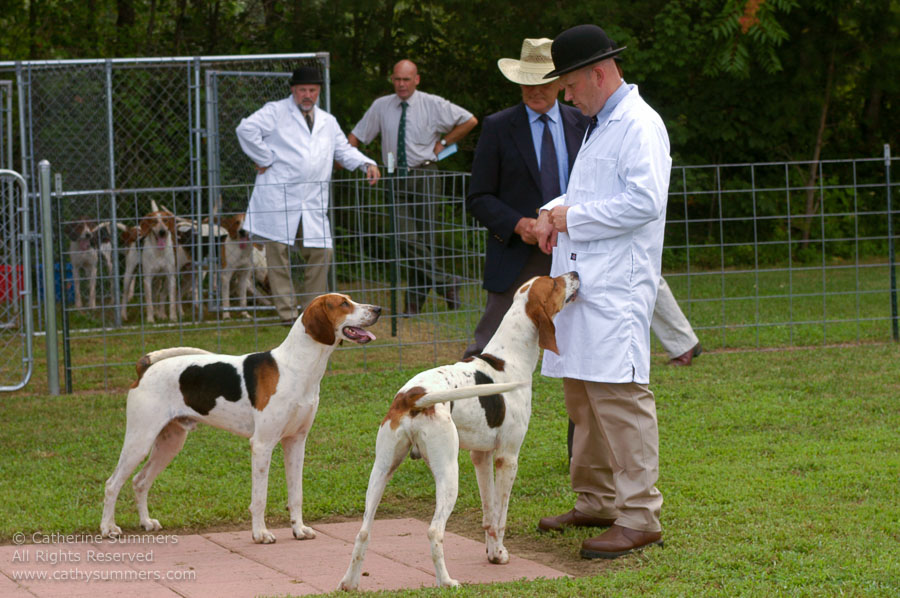 F2005_PS_04: Farmington Hunt, Fox Hunting, 2005