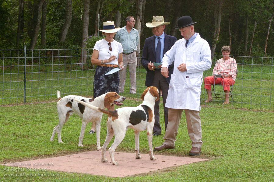 F2005_PS_05: Farmington Hunt, Fox Hunting, 2005