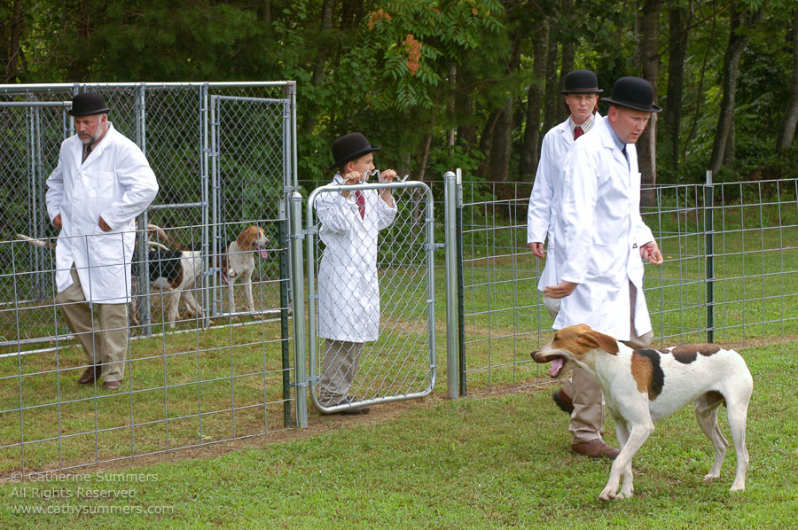 F2005_PS_07: Farmington Hunt, Fox Hunting, 2005