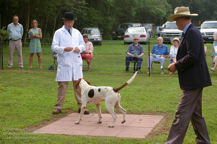 F2005_PS_09: Farmington Hunt, Fox Hunting, 2005