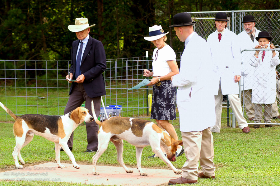 F2005_PS_11: Farmington Hunt, Fox Hunting, 2005