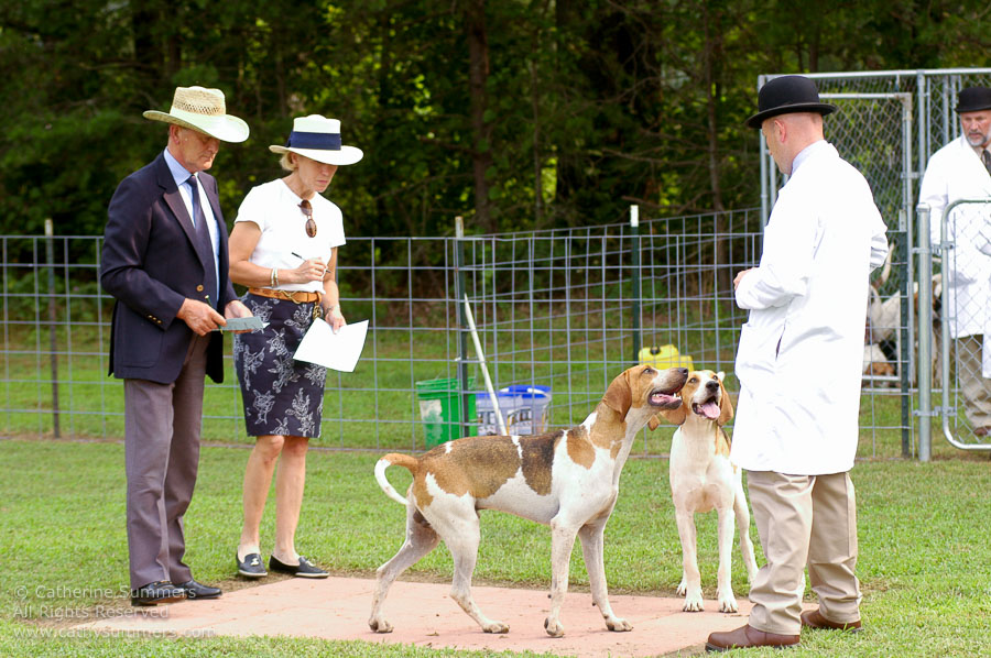 F2005_PS_12: Farmington Hunt, Fox Hunting, 2005