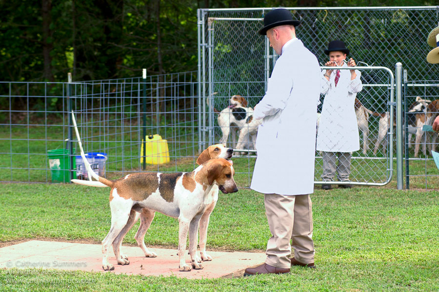 F2005_PS_13: Farmington Hunt, Fox Hunting, 2005