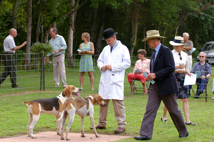 F2005_PS_15: Farmington Hunt, Fox Hunting, 2005