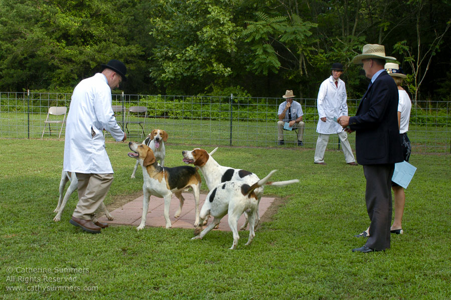 F2005_PS_20: Farmington Hunt, Fox Hunting, 2005