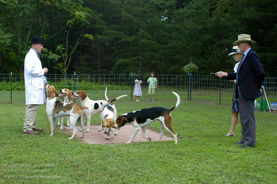 F2005_PS_21: Farmington Hunt, Fox Hunting, 2005