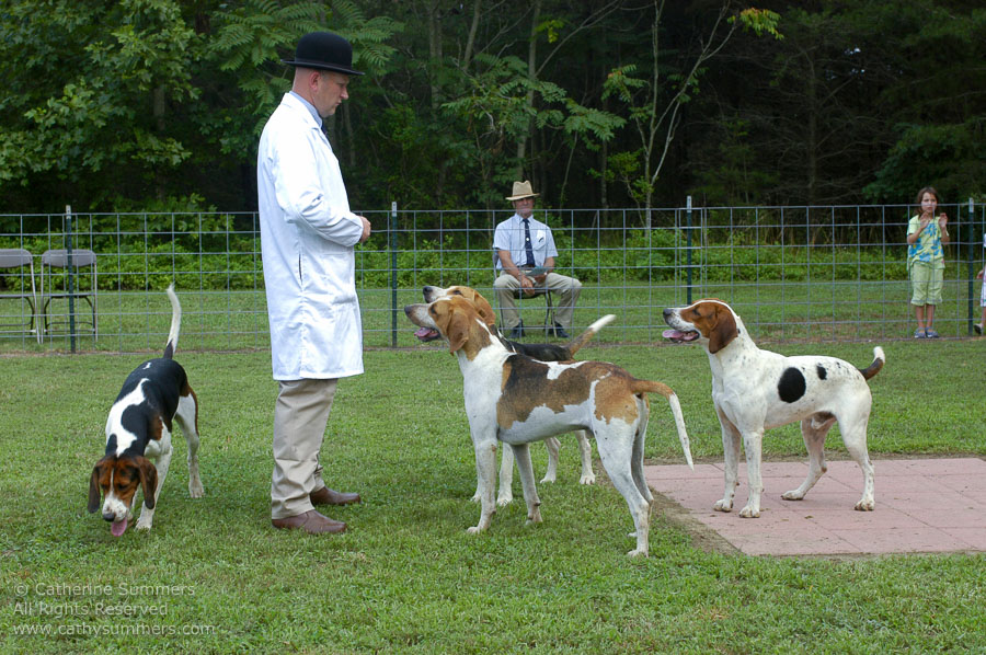 F2005_PS_22: Farmington Hunt, Fox Hunting, 2005