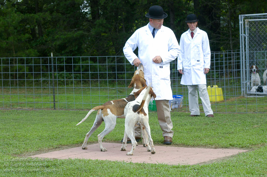 F2005_PS_23: Farmington Hunt, Fox Hunting, 2005