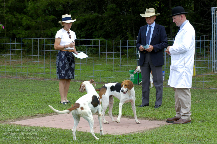 F2005_PS_27: Farmington Hunt, Fox Hunting, 2005