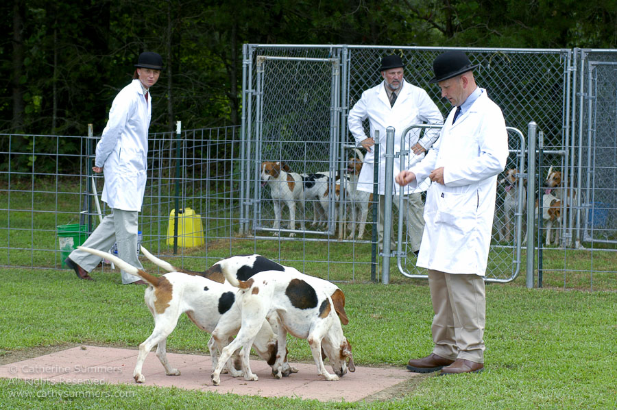F2005_PS_28: Farmington Hunt, Fox Hunting, 2005