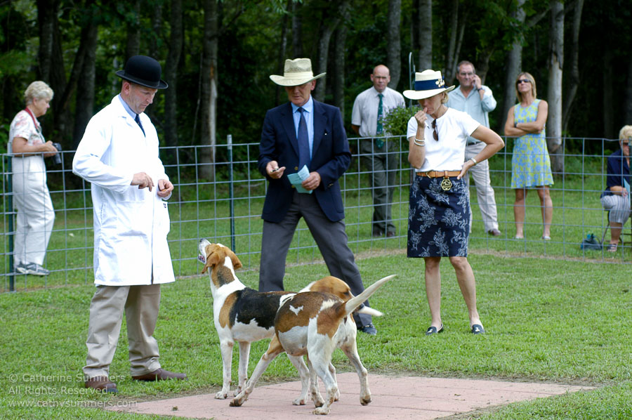 F2005_PS_33: Farmington Hunt, Fox Hunting, 2005