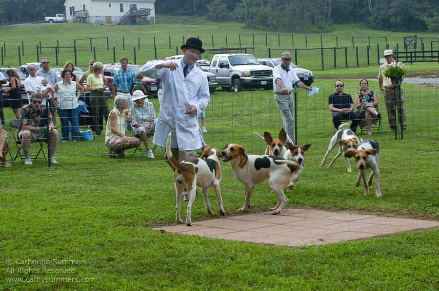 F2005_PS_37: Farmington Hunt, Fox Hunting, 2005