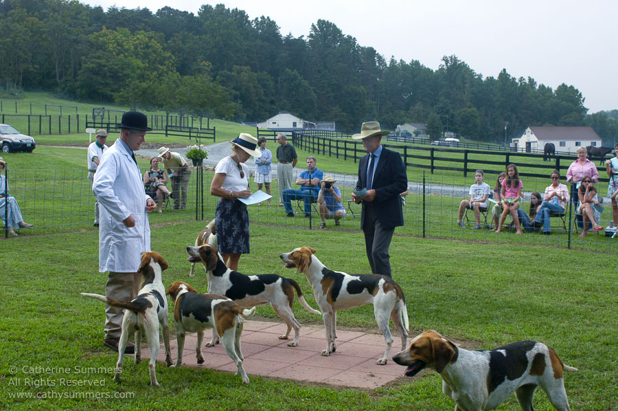 F2005_PS_39: Farmington Hunt, Fox Hunting, 2005