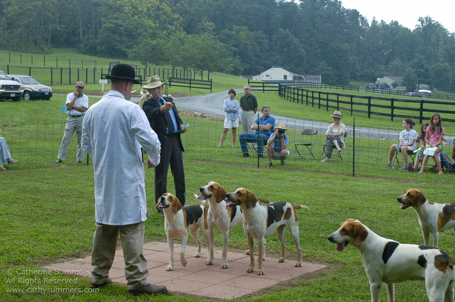 F2005_PS_41: Farmington Hunt, Fox Hunting, 2005