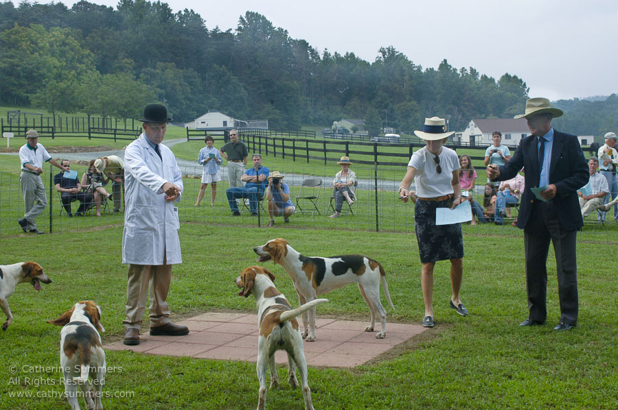 F2005_PS_42: Farmington Hunt, Fox Hunting, 2005