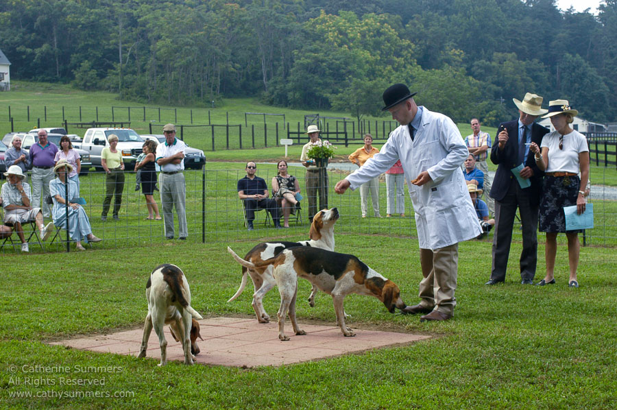 F2005_PS_43: Farmington Hunt, Fox Hunting, 2005