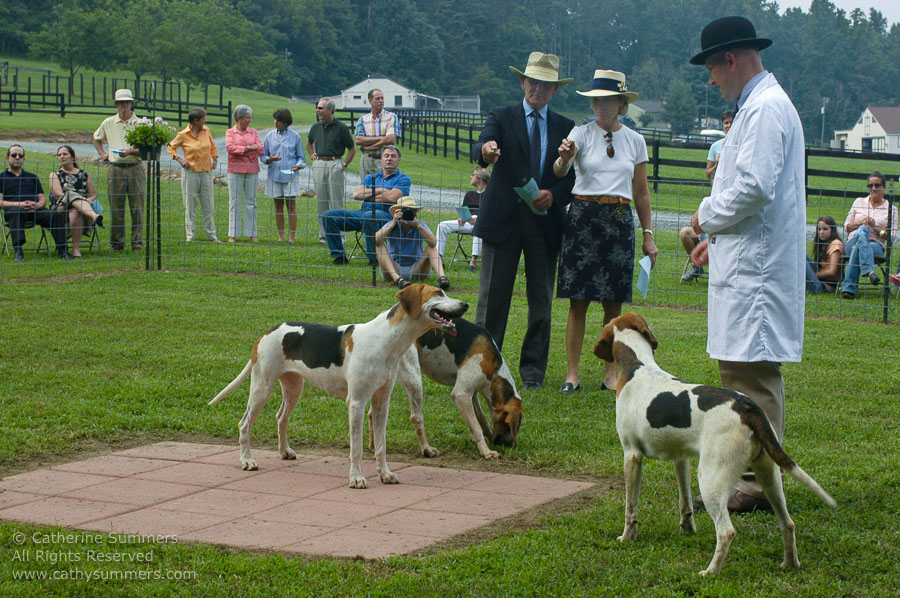 F2005_PS_45: Farmington Hunt, Fox Hunting, 2005