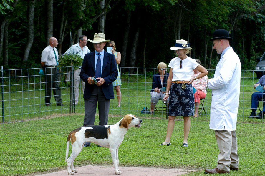 F2005_PS_47: Farmington Hunt, Fox Hunting, 2005