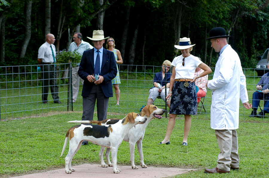 F2005_PS_48: Farmington Hunt, Fox Hunting, 2005