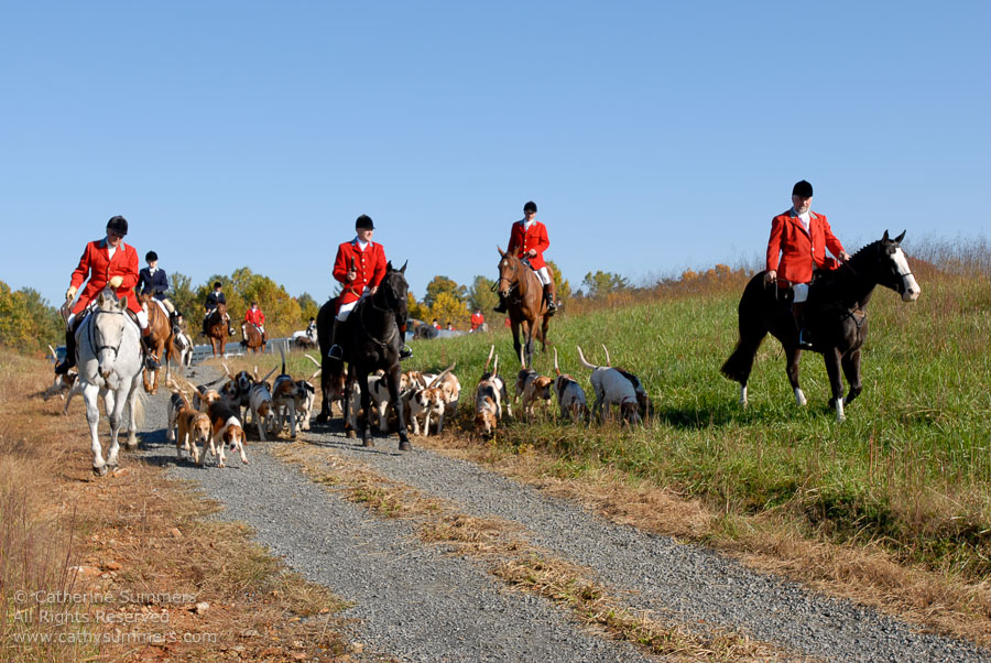FH2006_010: Farmington Hunt, Fox Hunting, 2006, Tommy McCauley, Bok Summers, Daron Beeney, hounds, Huntsman, Staff, Pat Butterfield