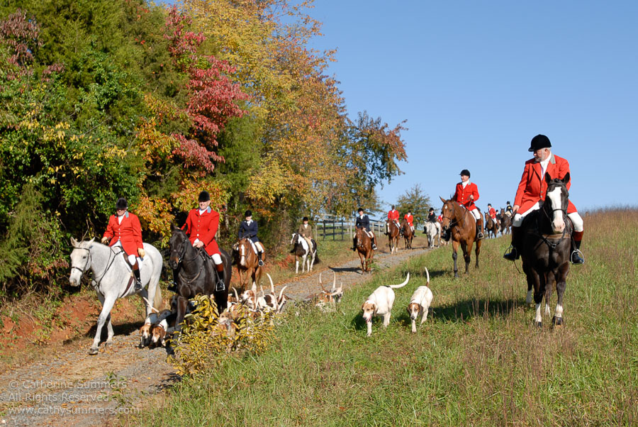 FH2006_011: Farmington Hunt, Fox Hunting, Jill Summers, 2006, Tommy McCauley, Bok Summers, Daron Beeney, hounds, Huntsman, Pat Butterfield