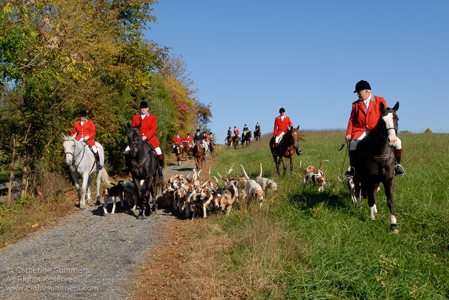 FH2006_012: Farmington Hunt, Fox Hunting, 2006, Tommy McCauley, Bok Summers, Daron Beeney, hounds, Huntsman, Pat Butterfield