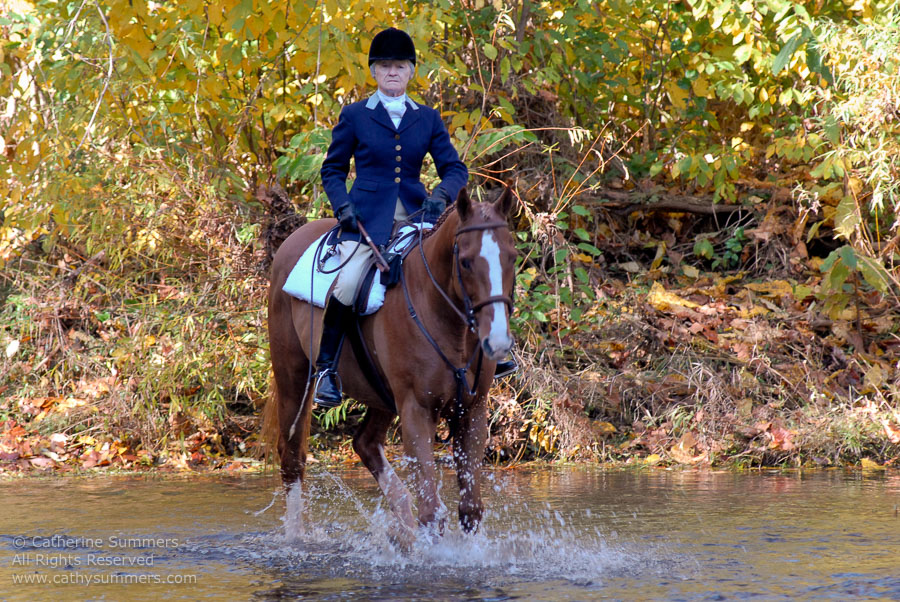 FH2006_023: horizontal, Farmington Hunt, Fox Hunting, Jill Summers, Shotgun, 2006, Whipper-In, Moormans River < Albemarle
