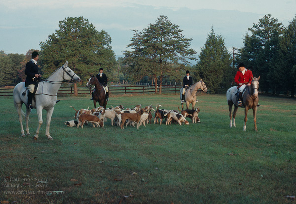 FH_1978_0013: Farmington Hunt, hounds, Huntsman, Jack Eicher, Susie Ashcomb, Donna Eicher, Sue Coughlin