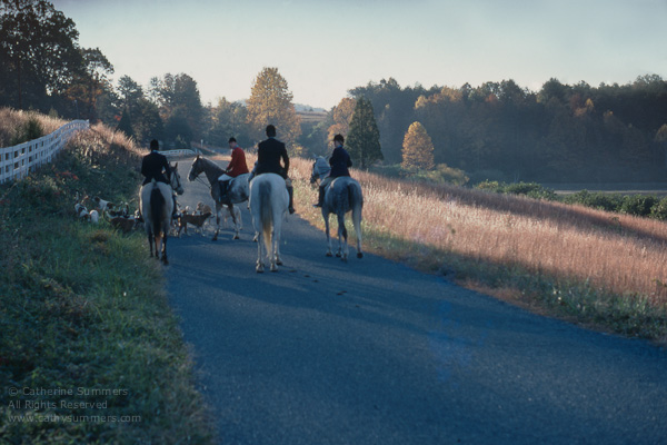 FH_1978_0014: Jill Summers, hounds, Jack Eicher, Donna Eicher, Sue Coughlin