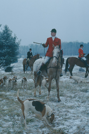 FH_1978_0016: snow, hounds, Huntsman, Jack Eicher, Knole III