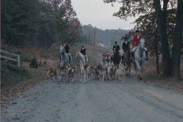 FH_1978_0026: Jill Summers, hounds, Whipper-In, Jack Eicher, Susie Ashcomb, Donna Eicher, Sue Coughlin