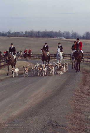FH_1978_0032n: Jill Summers, hounds, Huntsman, Jack Eicher, Sue Coughlin, Susan Ashcomb, The Barracks