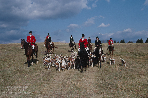 FH_1991_095: Jill Summers, hounds, Huntsman, Jack Eicher, Staff, Sherry Buttrick, Tom Bishop