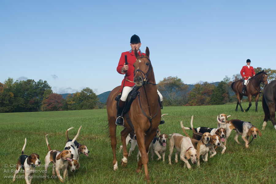 FH_2007_001: Farmington Hunt, Fox Hunting, Opening Meet, Daron Beeney, hounds, Huntsman, Hidden Fox