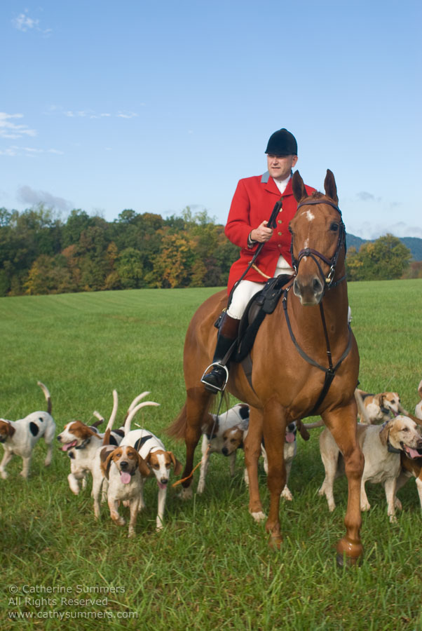 FH_2007_002: Farmington Hunt, Fox Hunting, Opening Meet, Daron Beeney, hounds, Huntsman, Hidden Fox