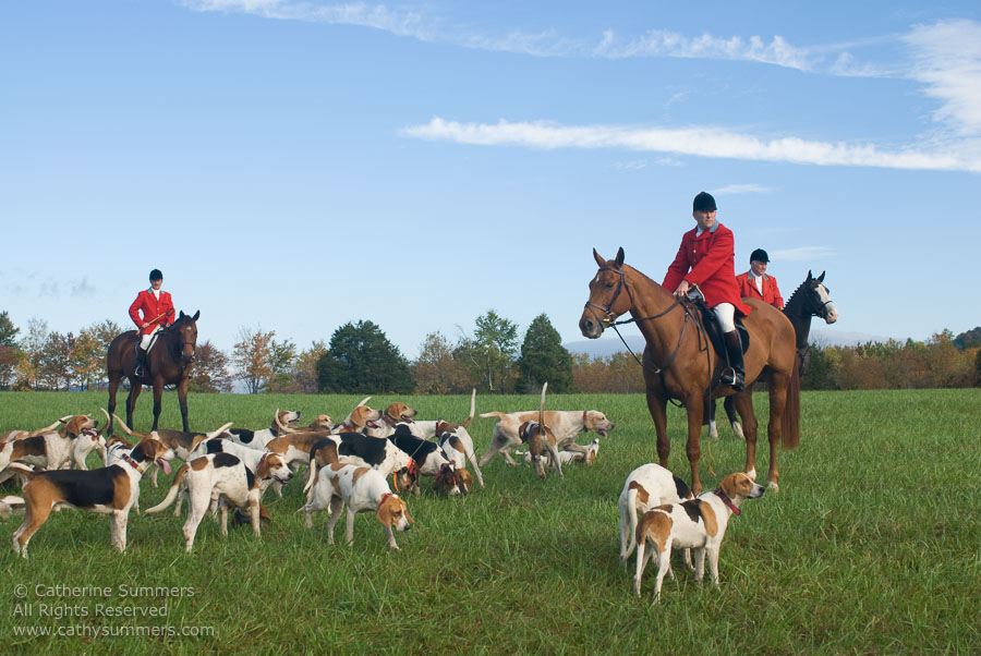 FH_2007_003: Farmington Hunt, Fox Hunting, Opening Meet, hounds, Huntsman, Hidden Fox, Staff