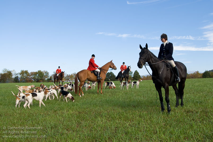 FH_2007_004: Farmington Hunt, Fox Hunting, Opening Meet, hounds, Huntsman, Allison Beeney, Hidden Fox, Staff
