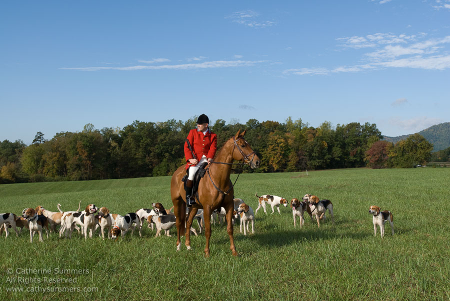 FH_2007_005: Farmington Hunt, Fox Hunting, Opening Meet, Daron Beeney, hounds, Huntsman, Hidden Fox