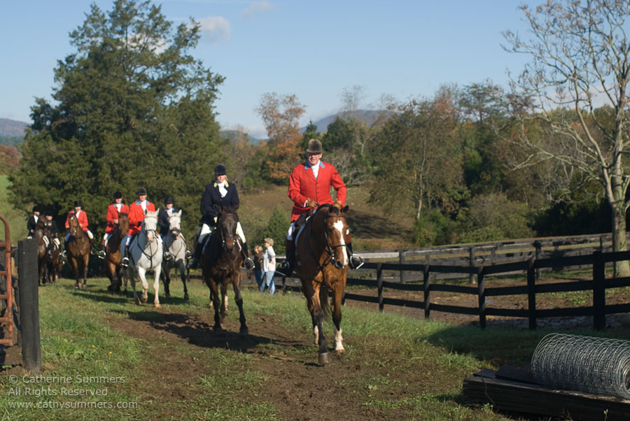 FH_2007_009: Farmington Hunt, Fox Hunting, Opening Meet, Hidden Fox, The Field, Tom Bishop