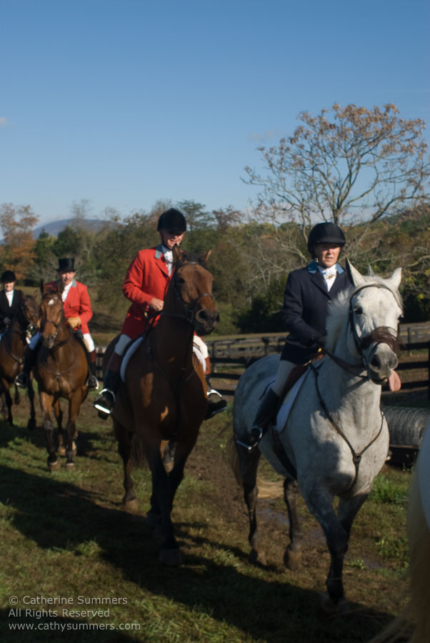 FH_2007_011: Farmington Hunt, Fox Hunting, Opening Meet, Hidden Fox, Shelly Thompson