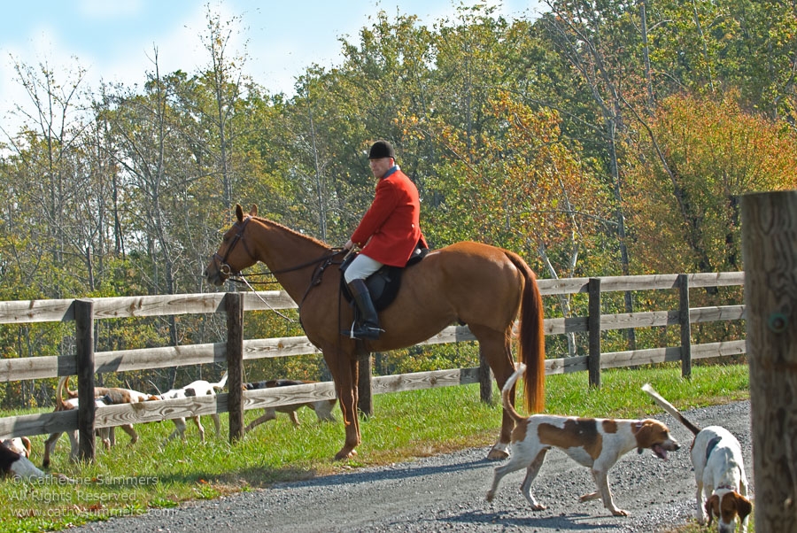 FH_2007_016: Farmington Hunt, Fox Hunting, Opening Meet, Daron Beeney, hounds, Hidden Fox