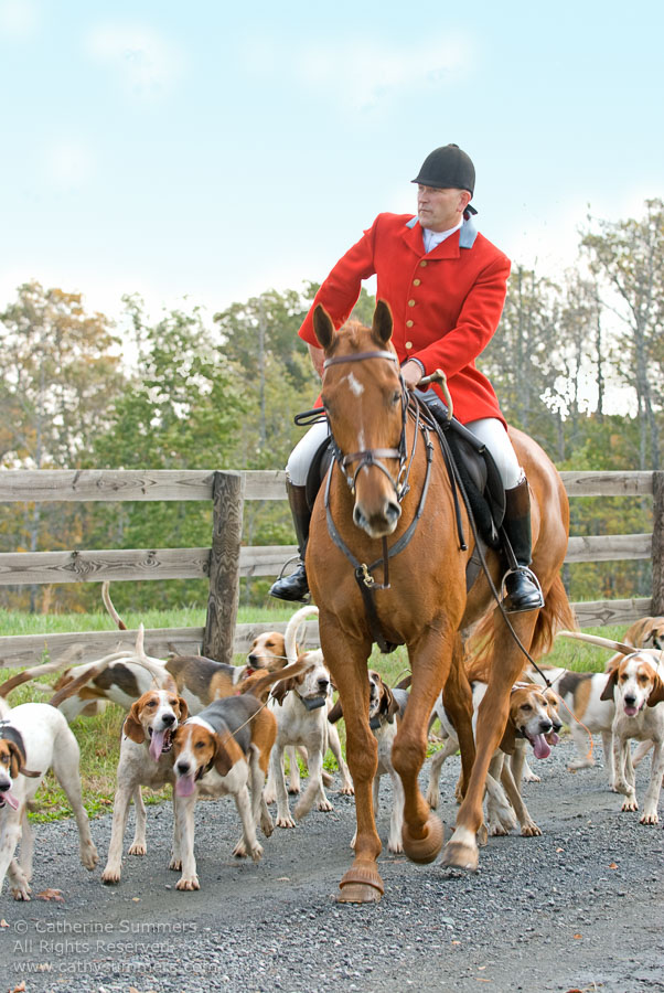 FH_2007_017: Farmington Hunt, Fox Hunting, Opening Meet, Daron Beeney, hounds, Hidden Fox