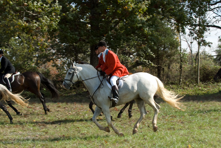 FH_2007_021: Farmington Hunt, Fox Hunting, Opening Meet, Hidden Fox, Mark Thompson