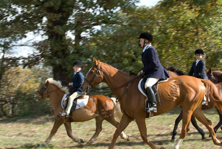 FH_2007_026: Farmington Hunt, Fox Hunting, Opening Meet, Hidden Fox, Jane Fogleman