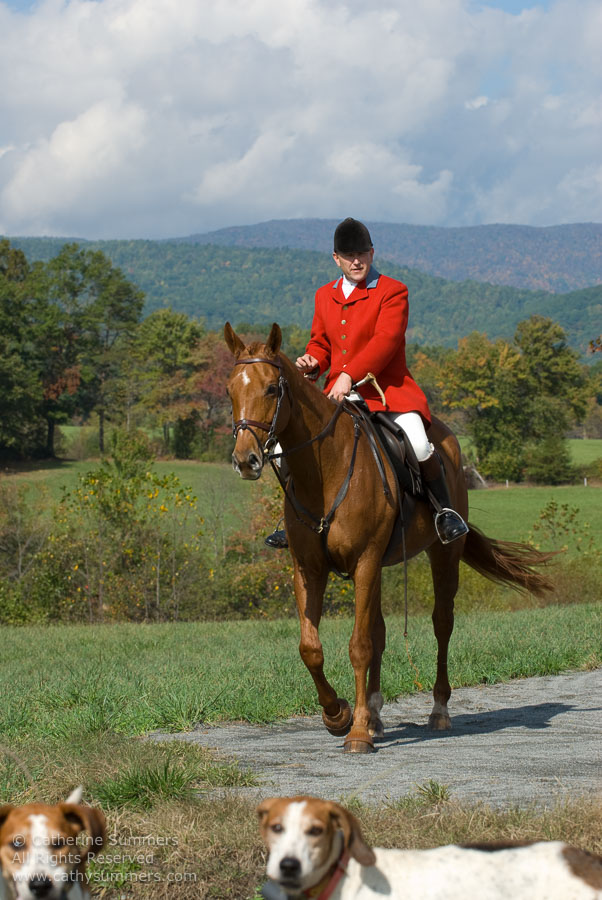 FH_2007_031: Farmington Hunt, Fox Hunting, Opening Meet, Daron Beeney, hounds, Hidden Fox