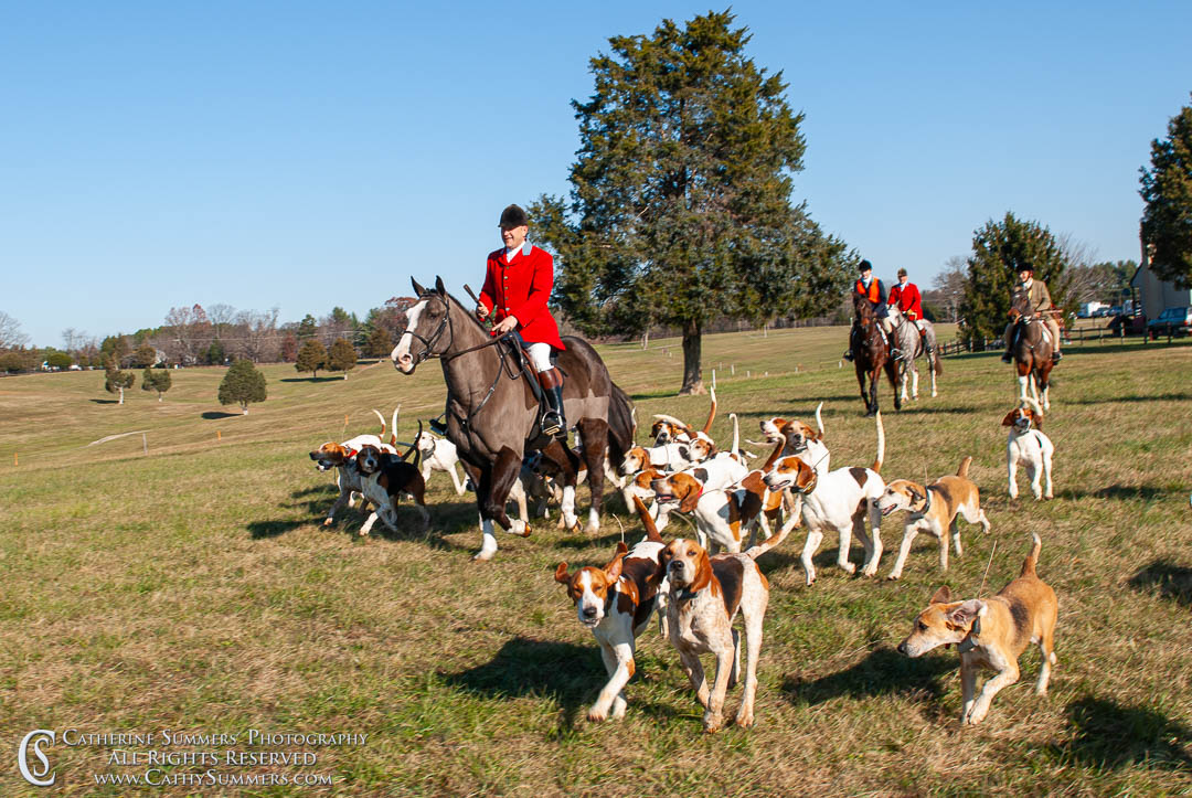 FH_20081127_015: Farmington Hunt, 2008, Foxfield, Thanksgiving Hunt